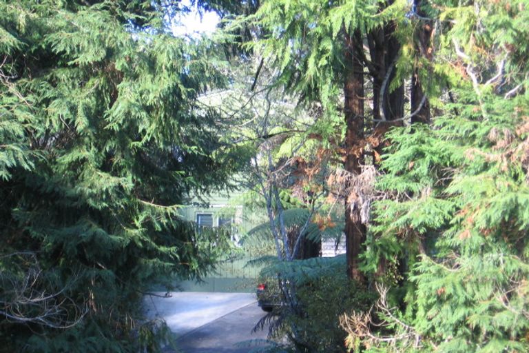 Photo of property in 116 Konini Road, Titirangi, Auckland, 0604