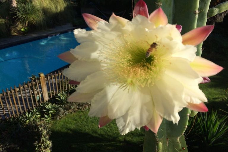 Photo of property in 125 Matangi Road, Matangi, Hamilton, 3284