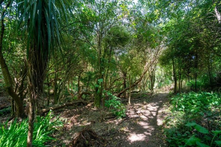 Photo of property in 6 Hawk Lane, Saint Leonards, Dunedin, 9022