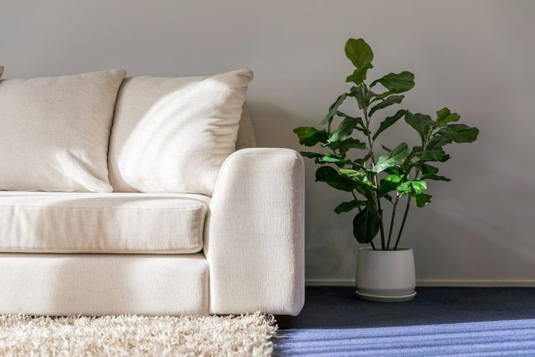 Photo of property in 40b Miro Street, Mount Maunganui, 3116