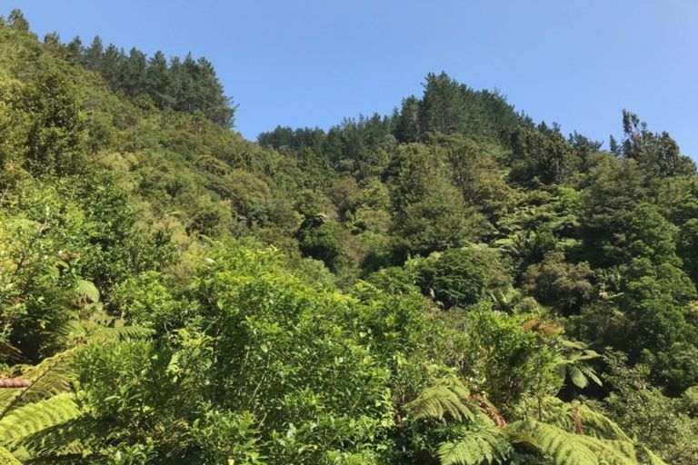 Photo of property in 570 Tutaetoko Road, Toatoa, Opotiki, 3197