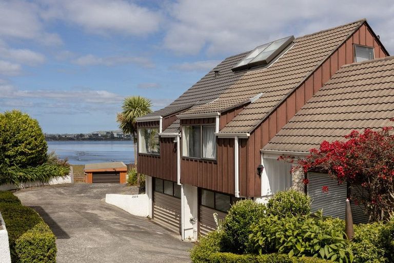 Photo of property in 250b Grange Road, Otumoetai, Tauranga, 3110