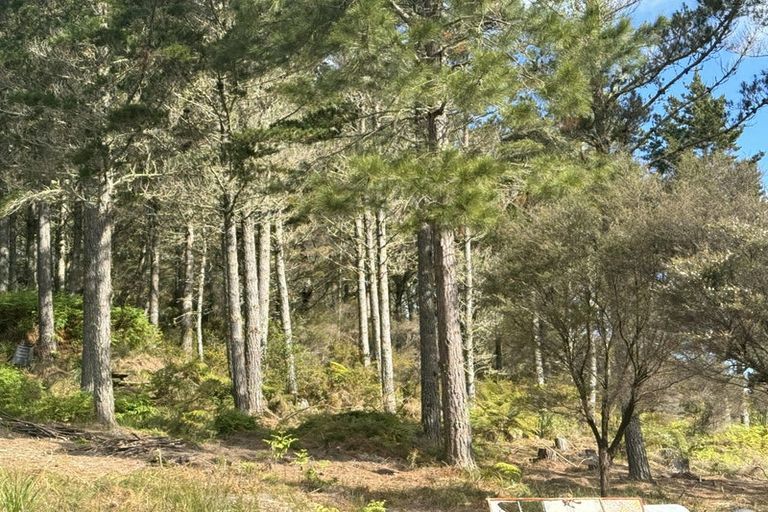 Photo of property in 5318 State Highway 12, Kaikohe, 0472