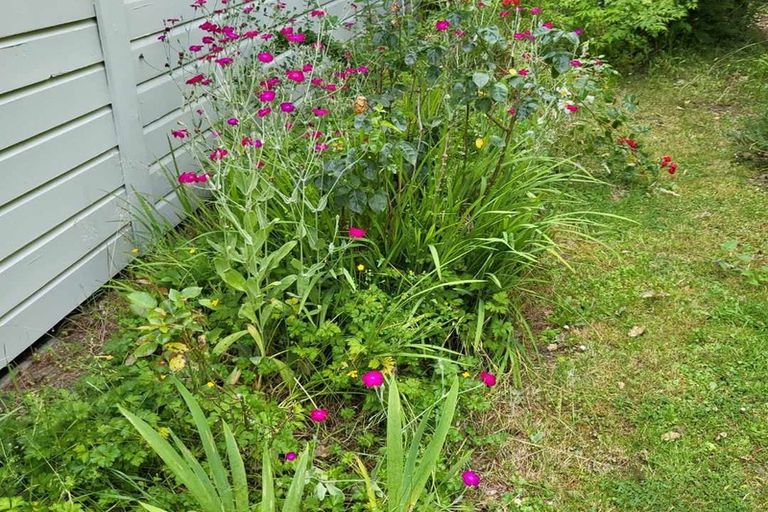 Photo of property in 738 Palmerston-dunback Road, Glenpark, Palmerston, 9483