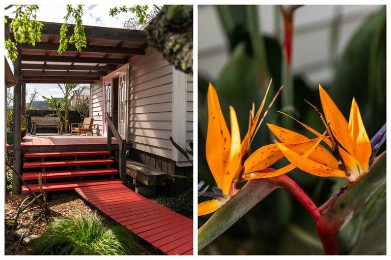 Photo of property in 115 Fenton Street, Thames, 3500