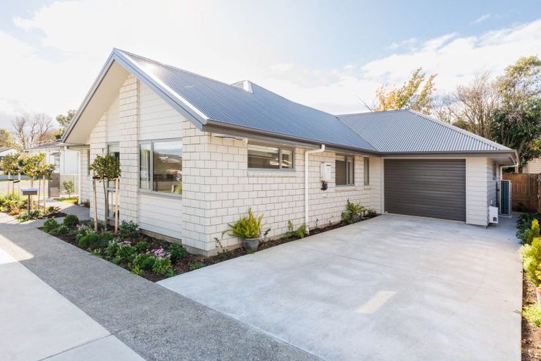 Photo of property in 14b Knowles Street, Terrace End, Palmerston North, 4410