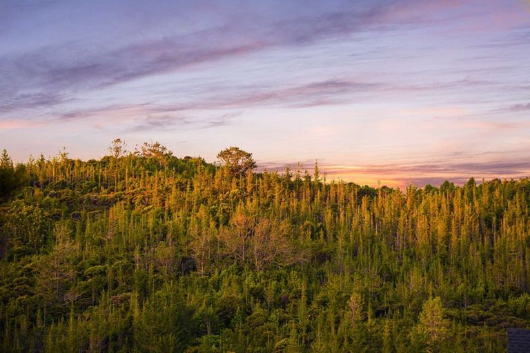 Photo of property in 39 Pacific Heights Road, Orewa, 0931