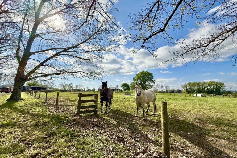 Photo of property in 4666 State Highway 1, Tokoroa, 3491