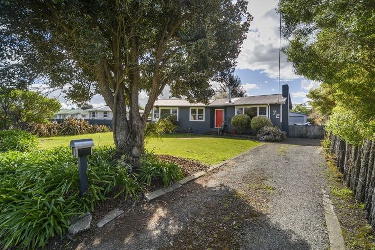 Photo of property in 72 Worcester Street, Ashhurst, 4810