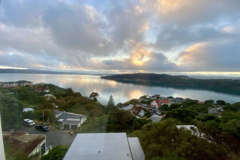 Photo of property in 18 Waipapa Terrace, Hataitai, Wellington, 6021