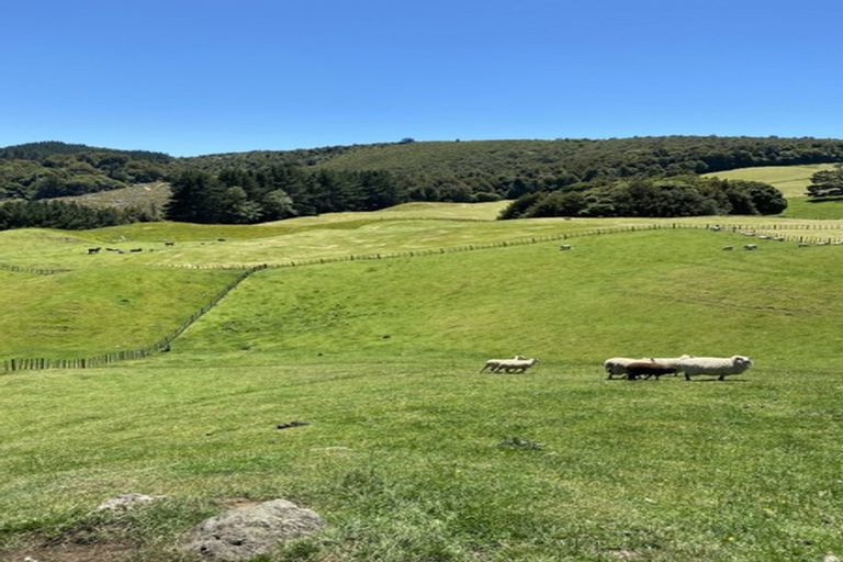 Photo of property in 400a Paradise Valley Road, Ngongotaha Valley, Rotorua, 3072