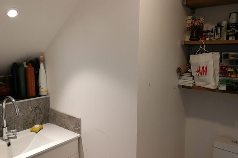 Photo of property in 39 Windmill Road, Mount Eden, Auckland, 1024