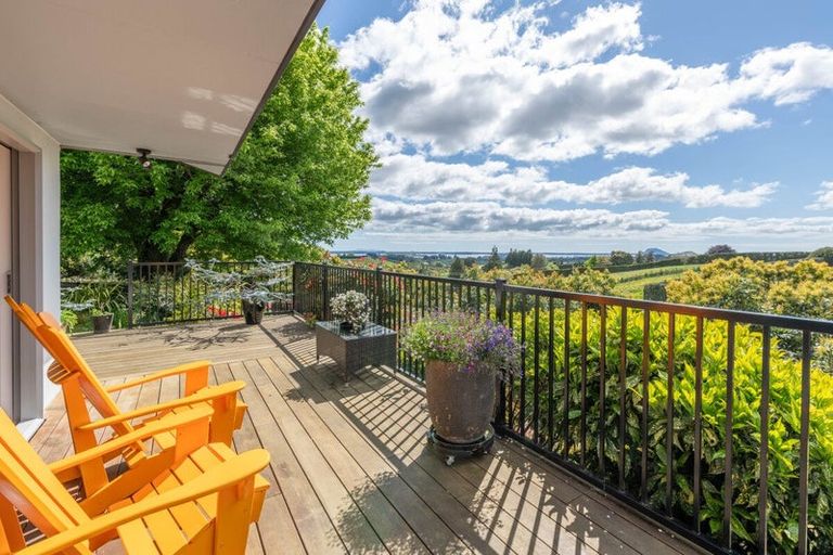 Photo of property in 313 Youngson Road, Whakamarama, Tauranga, 3179