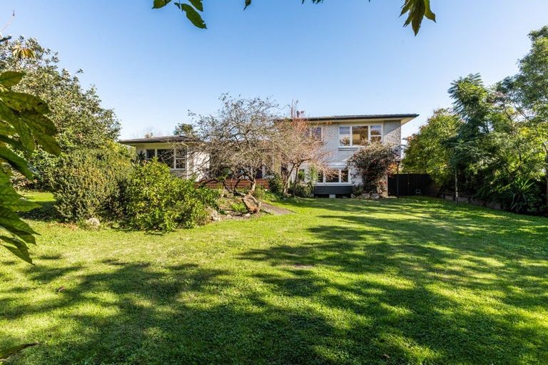 Photo of property in 6 George Place, Havelock North, 4130