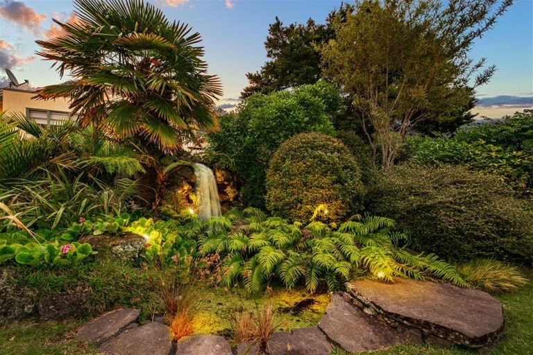 Photo of property in 31 Jubaea Place, Henderson, Auckland, 0610