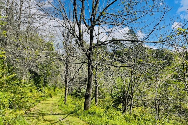 Photo of property in 308 Brown Road, Te Puke, 3188