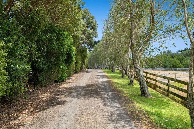 Photo of property in 154 Te Kanae Road, South Head, Helensville, 0874