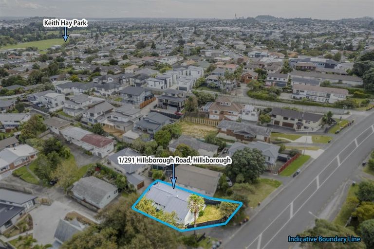Photo of property in 1/291 Hillsborough Road, Hillsborough, Auckland, 1042