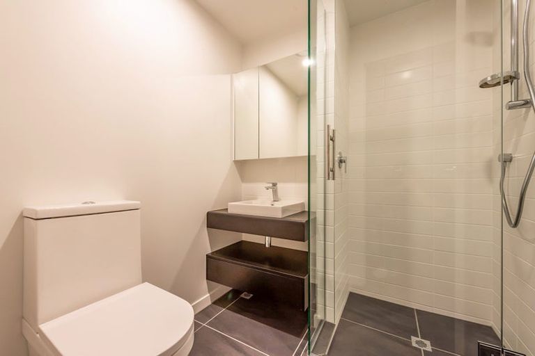 Photo of property in Pinnacle Apartments, E202/160 Victoria Street, Te Aro, Wellington, 6011
