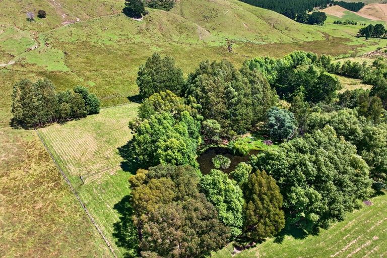 Photo of property in 869 Norfolk Road, Upper Plain, Carterton, 5791