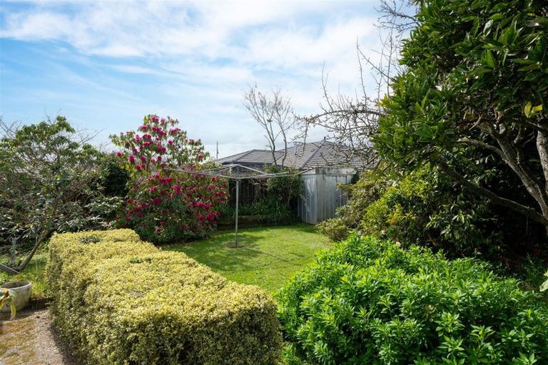 Photo of property in 45 Kennedy Drive, Levin, 5510