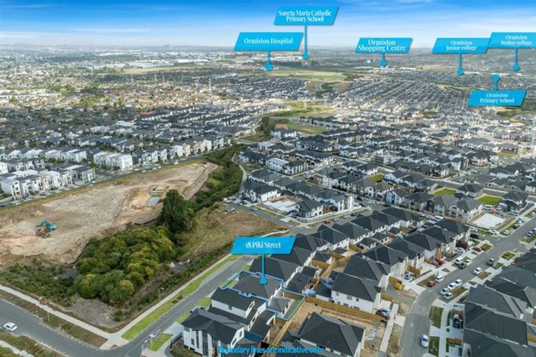 Photo of property in 18 Piki Street, Flat Bush, Auckland, 2019