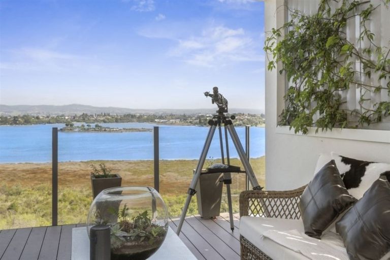 Photo of property in 62a Milton Road, Otumoetai, Tauranga, 3110