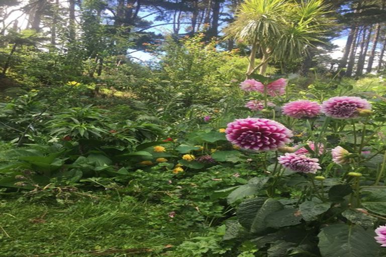 Photo of property in 15 Linda Street, Oakura, 4314