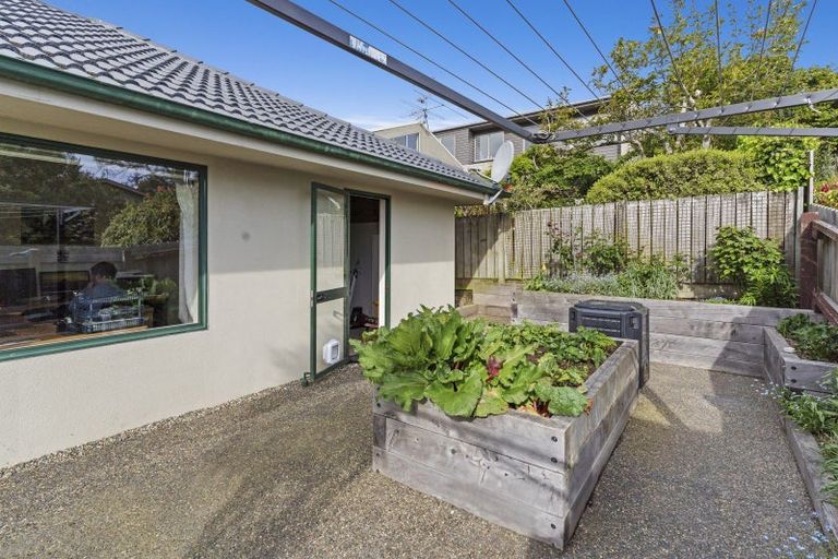 Photo of property in 29b Butler Street, Maori Hill, Dunedin, 9010