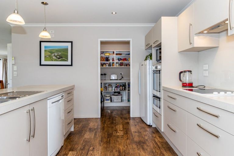 Photo of property in 87 Cridland Street, Rakaia, 7710