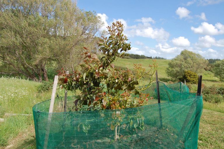 Photo of property in Dunkerron Farm, 852 Oneriri Road, Kaiwaka, 0573