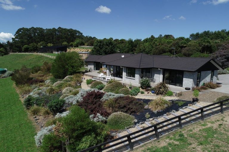 Photo of property in 31 Wildwood Lane, Matamata, 3472