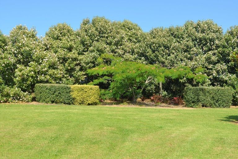 Photo of property in West Coast Road, Te Kopuru, 0371