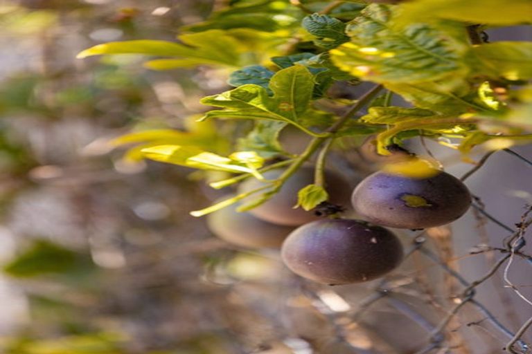 Photo of property in 568 Lepper Road Upper, Kaimiro, Inglewood, 4386