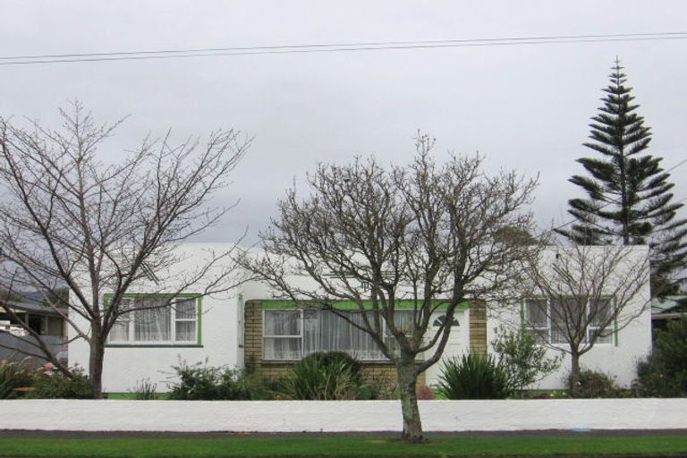 Photo of property in 15 Mckenzie Street, Levin, 5510