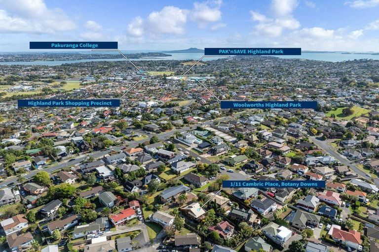 Photo of property in 1/11 Cambric Place, Botany Downs, Auckland, 2010