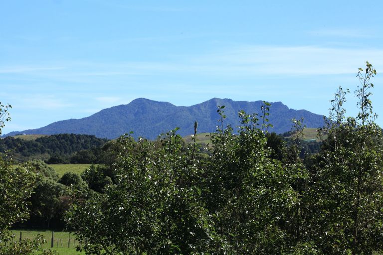 Photo of property in 50 Pond Road, Raglan, 3295