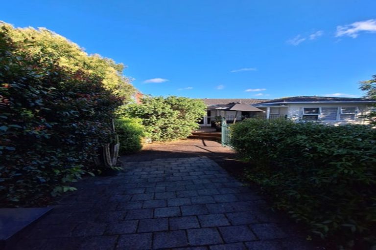 Photo of property in 8 Ellen Avenue, Hillcrest, Auckland, 0627
