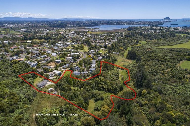 Photo of property in 57 Snowden Street, Ohauiti, Tauranga, 3112