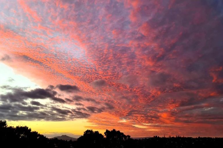 Photo of property in 2/100 Manuka Road, Bayview, Auckland, 0629