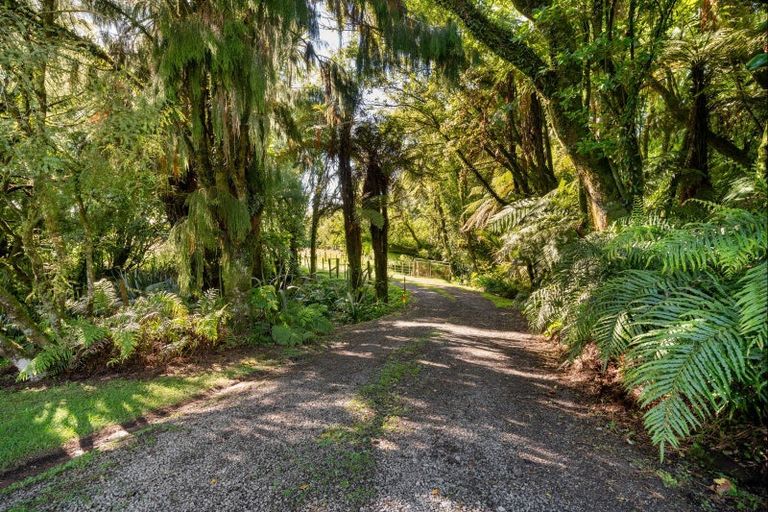 Photo of property in 66 Kent Terrace, Midhirst, Stratford, 4394