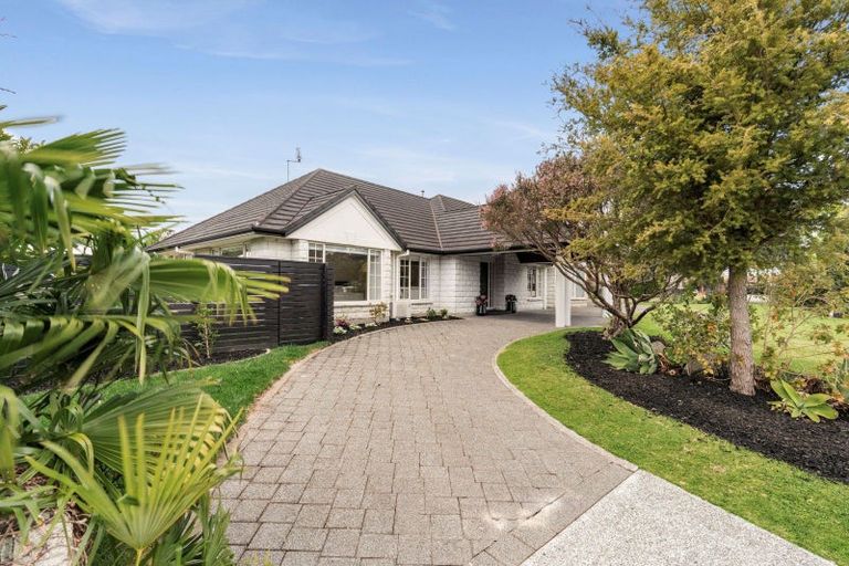 Photo of property in 15 Bethlehem Heights, Bethlehem, Tauranga, 3110