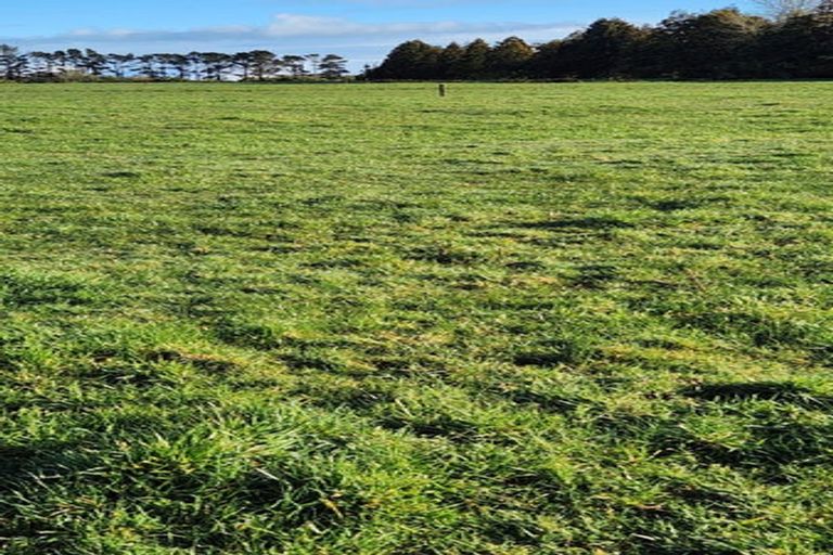 Photo of property in 5 Robson Court, Gate Pa, 3112