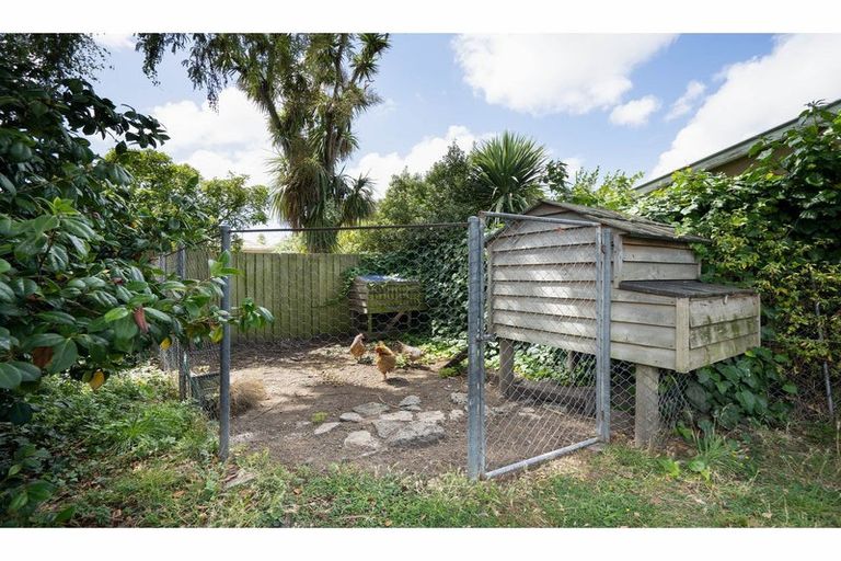Photo of property in 36 Woodard Terrace, Somerfield, Christchurch, 8024