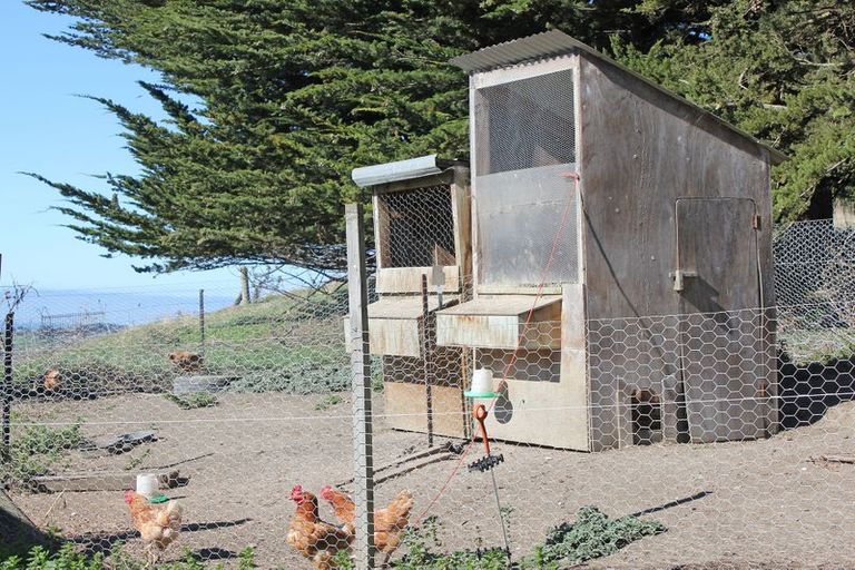 Photo of property in 67 Browns Road, Alma, Oamaru, 9491