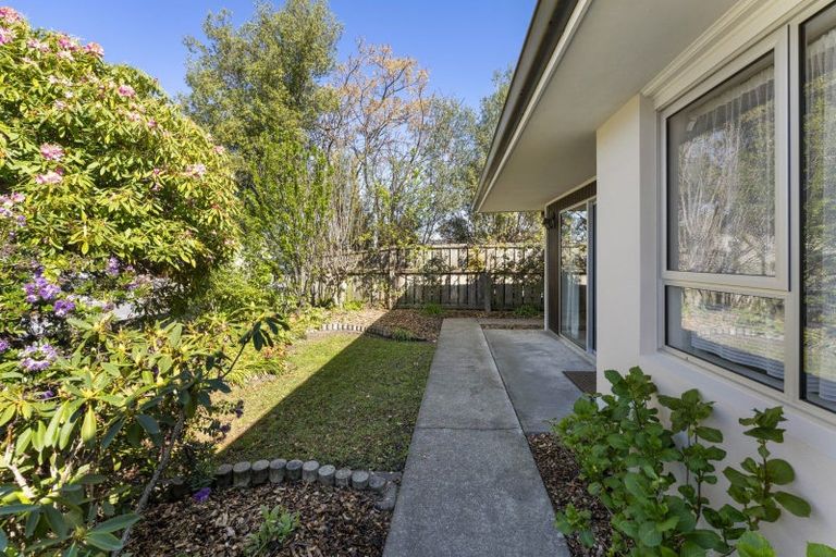 Photo of property in 1/86 Nelson Street, Springlands, Blenheim, 7201