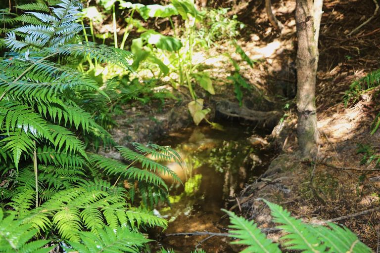 Photo of property in 96 Lamb Road, Parua Bay, Whangarei, 0174