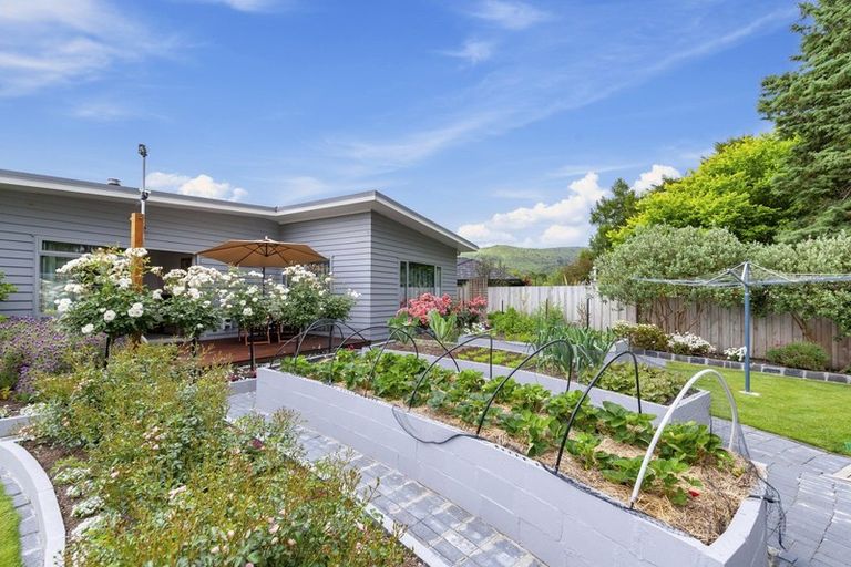 Photo of property in 8 Nursery Lane, Kinloch, Taupo, 3377