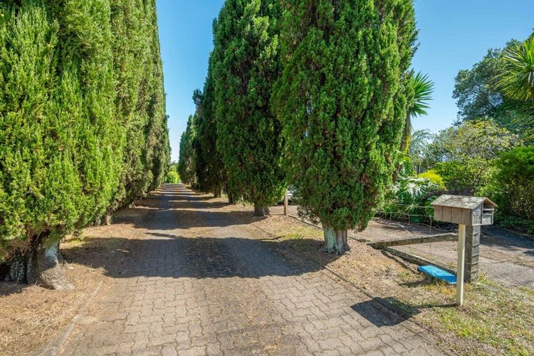 Photo of property in 68 Buscomb Avenue, Henderson, Auckland, 0610