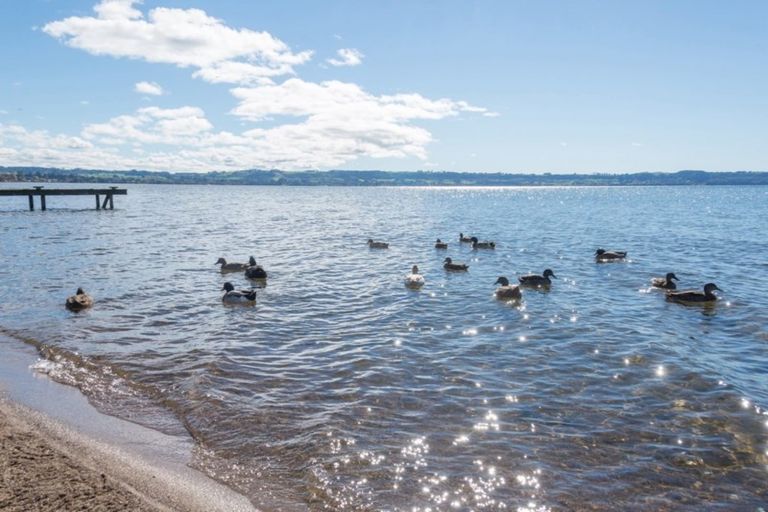 Photo of property in 11 Waikuta Road, Ngongotaha, Rotorua, 3010